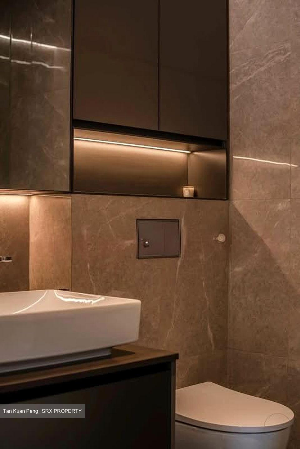 Irwell Hill Residences (D9), Apartment #576778111